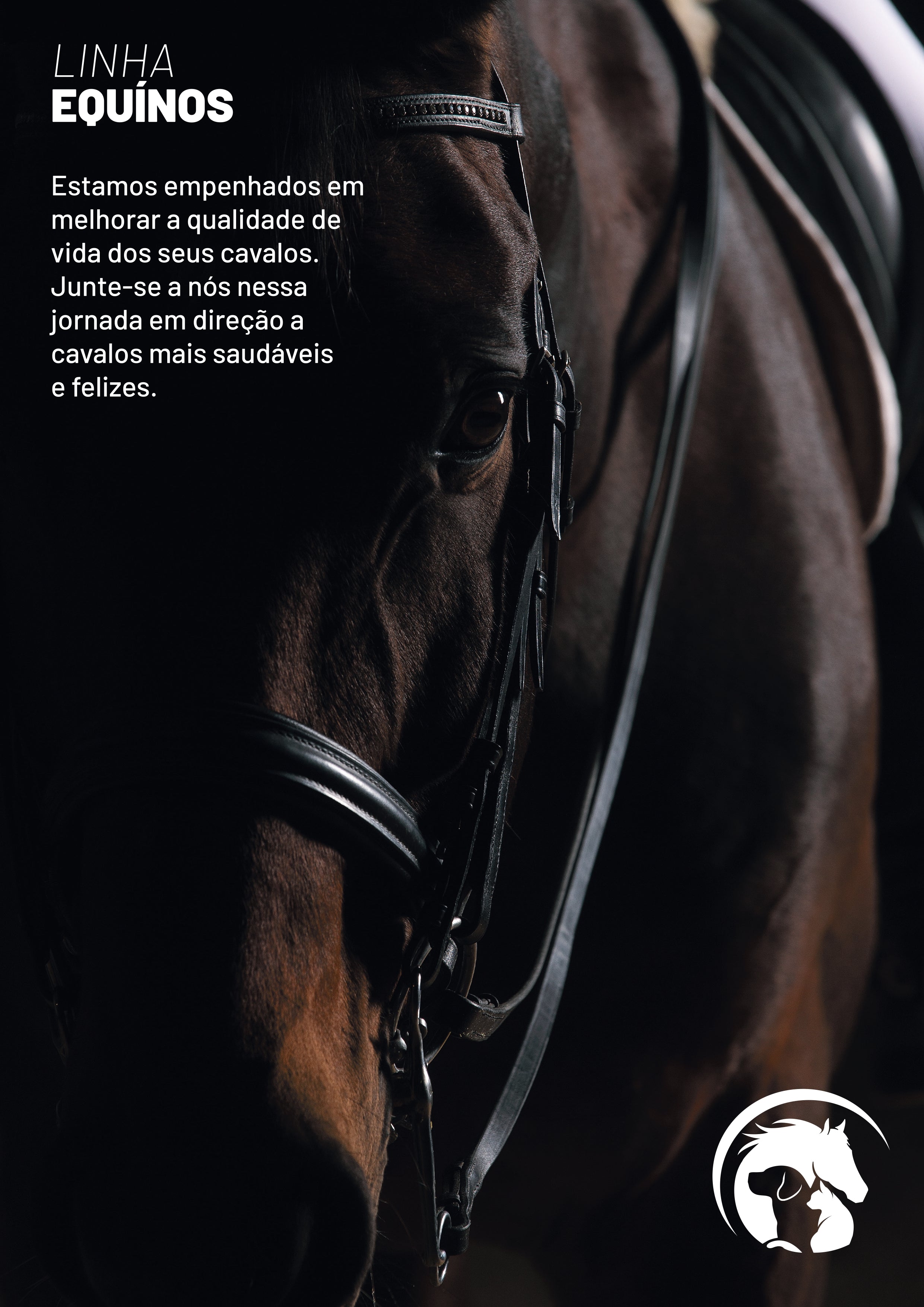 Imune Horse Pro Evolution - 30g - Seringa