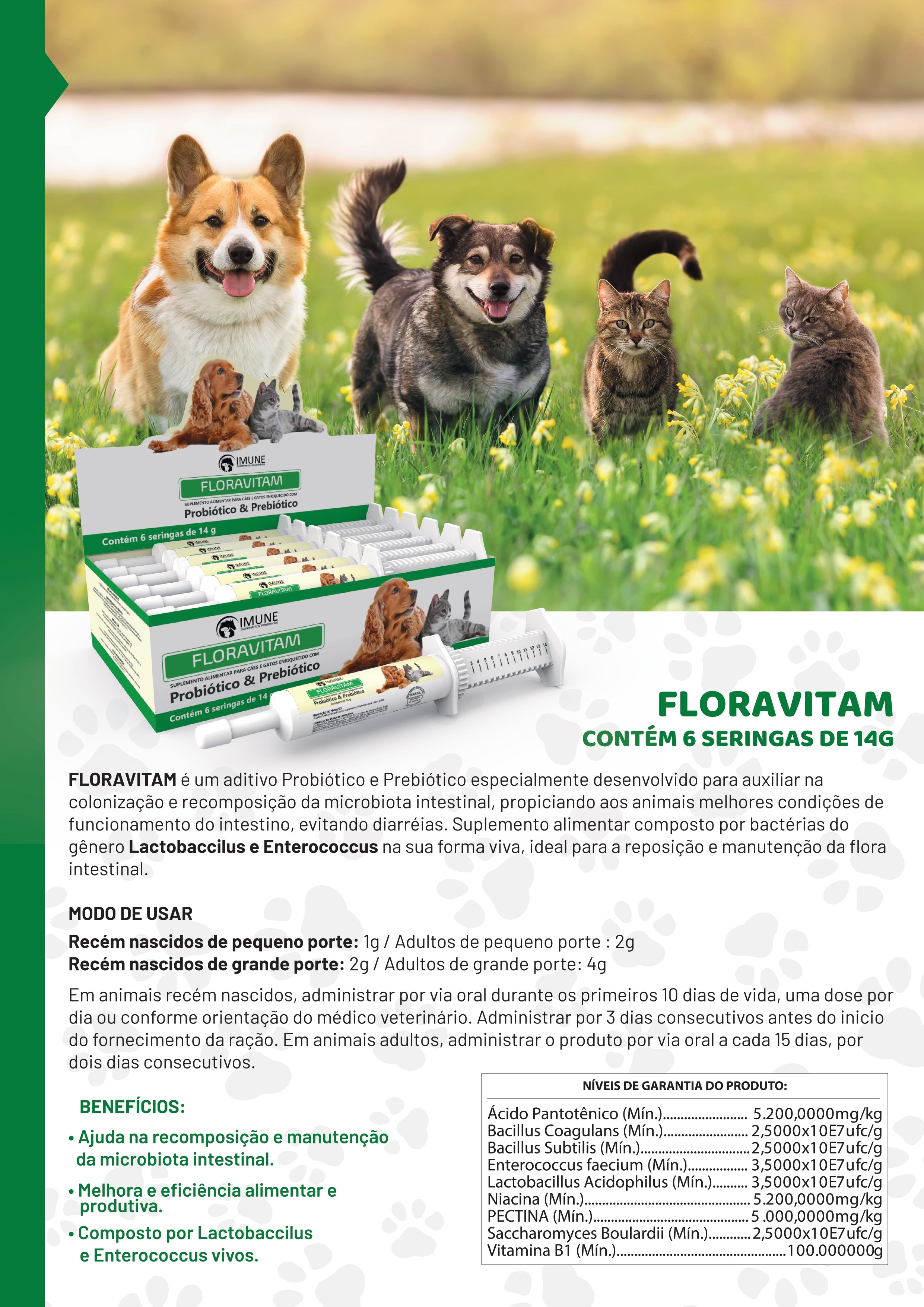 Floravitam - Probiótico e Prebiótico 14g - CX 6 Unidades